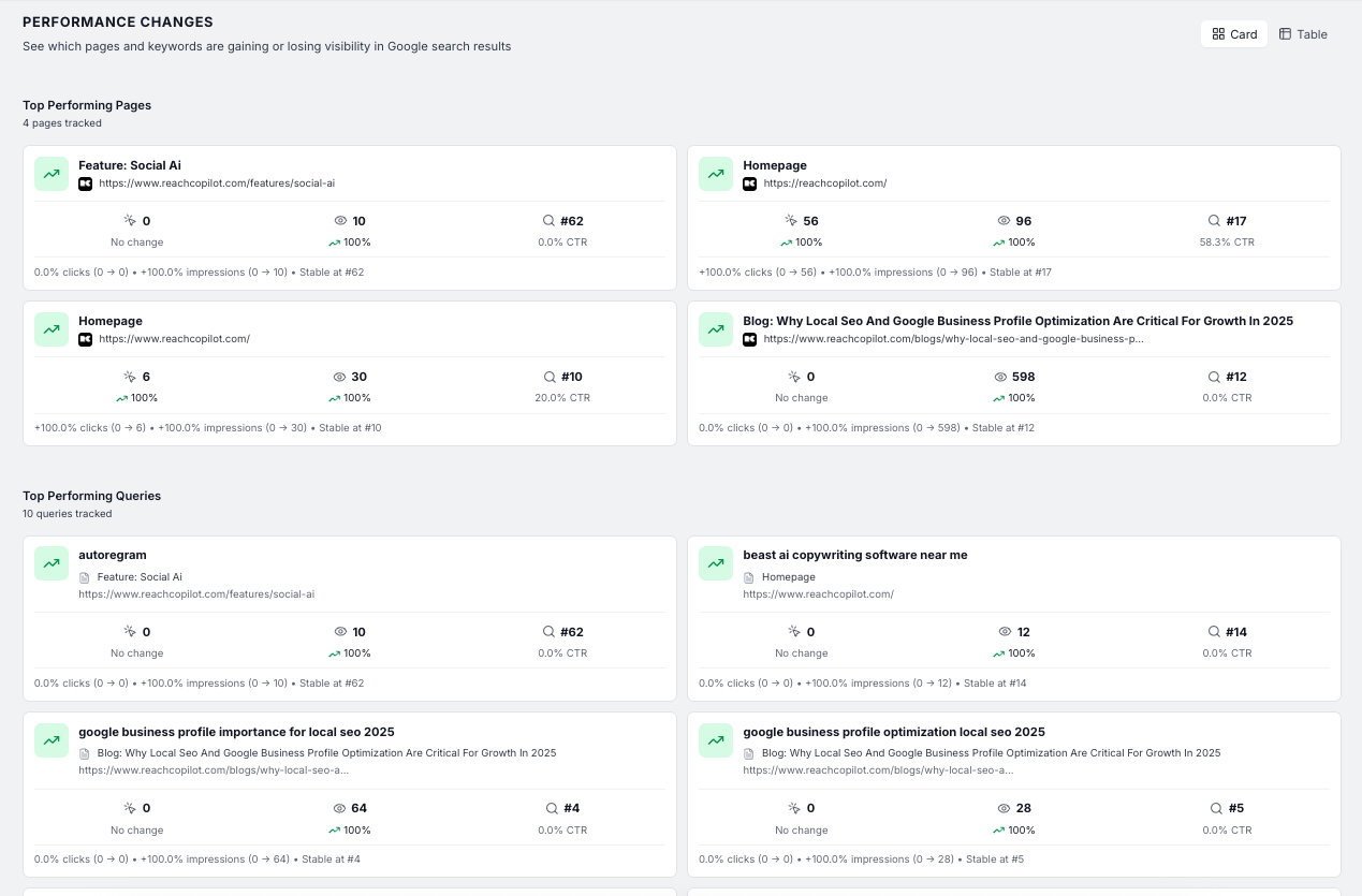 ReachCopilot Search Overview Intelligence